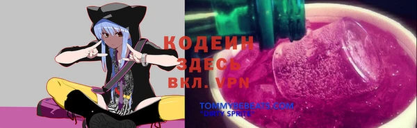 прущая мука Арсеньев
