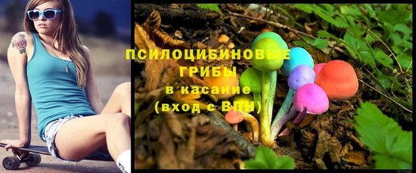 винт Армянск