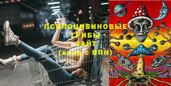 прущая мука Арсеньев